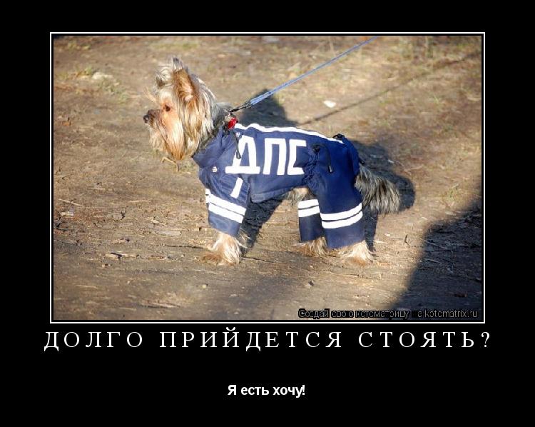Долго Прийдется Стоять? Я есть хочу!... Котоматрица: Долго Прийдется Стоять? Я есть хочу!