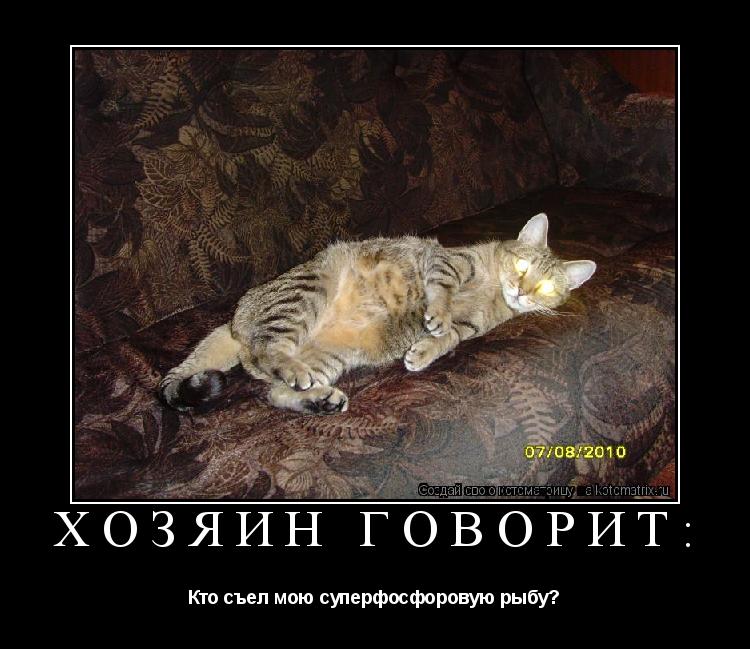 Хозяин говорит: Кто съел мою суперфосфоровую рыбу?... Котоматрица: Хозяин говорит: Кто съел мою суперфосфоровую рыбу?