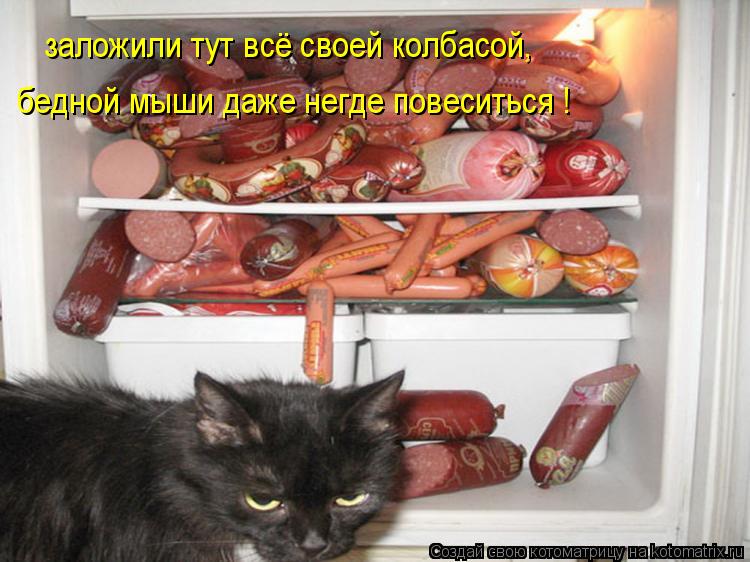 заложили тут всё своей колбасой, бедной мыши даже негде повеситься !... Котоматрица: заложили тут всё своей колбасой, бедной мыши даже негде повеситься !