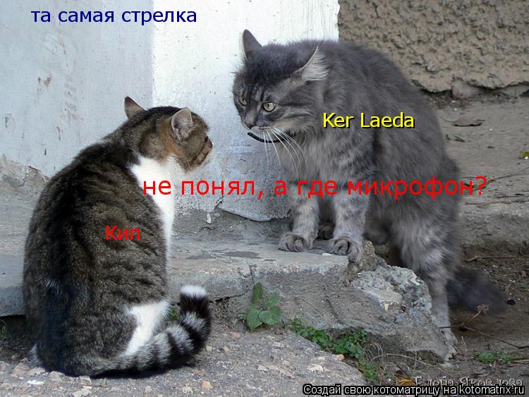Котоматрица: Ker Laeda Кип та самая стрелка не нонял, а где микрофон? не понял, а где микрофон?