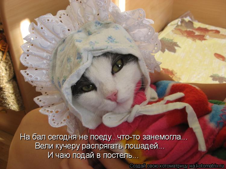 На бал сегодня не поеду...что-то занемогла... Вели кучеру распрягать лошадей... И чаю подай в постель... Котоматрица: На бал сегодня не поеду...что-то занемогла... Вели кучеру распрягать лошадей... И чаю подай в постель...