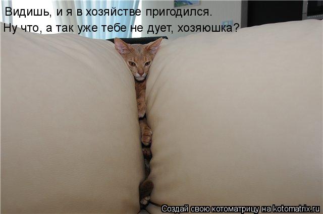 Видишь, и я в хозяйстве пригодился. Ну что, а так уже тебе не дует, хозяюшка?... Котоматрица: Видишь, и я в хозяйстве пригодился. Ну что, а так уже тебе не дует, хозяюшка?