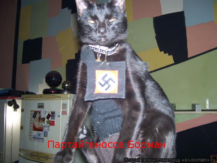 Котоматрица: Партайгеноссе Борман