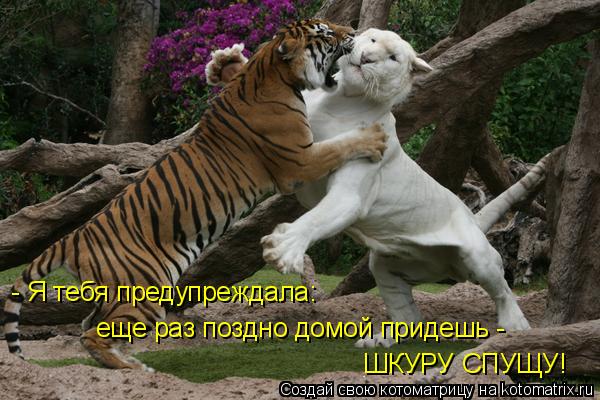 - Я тебя предупреждала: еще раз поздно домой придешь - ШКУРУ СПУЩУ!... Котоматрица: - Я тебя предупреждала: еще раз поздно домой придешь - ШКУРУ СПУЩУ!
