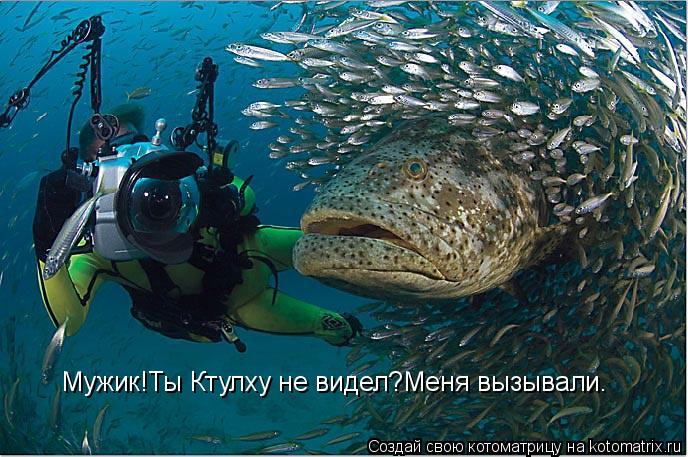 Мужик!Ты Ктулху не видел?Меня вызывали.... Котоматрица: Мужик!Ты Ктулху не видел?Меня вызывали.