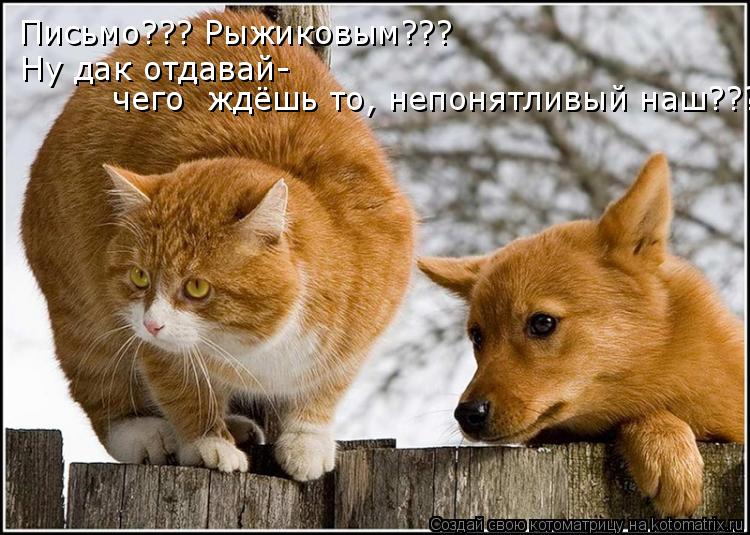 Письмо??? Рыжиковым??? Ну дак отдавай- чего ждёшь то, непонятливый наш???... Котоматрица: Письмо??? Рыжиковым??? Ну дак отдавай- чего ждёшь то, непонятливый наш???