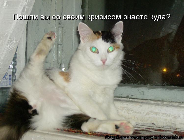 Пошли вы со своим кризисом знаете куда?... Котоматрица: Пошли вы со своим кризисом знаете куда?