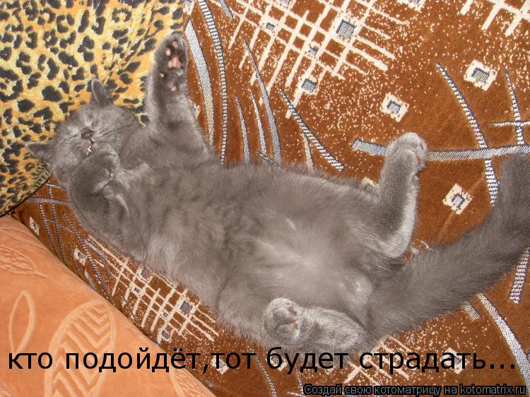 кто подойдёт,тот будет страдать... кто подойдёт,тот будет страдать...... Котоматрица: кто подойдёт,тот будет страдать... кто подойдёт,тот будет страдать...