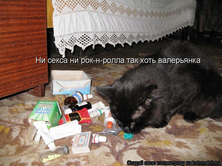 Ни секса ни рок-н-ролла так хоть валерьянка... Котоматрица: Ни секса ни рок-н-ролла так хоть валерьянка