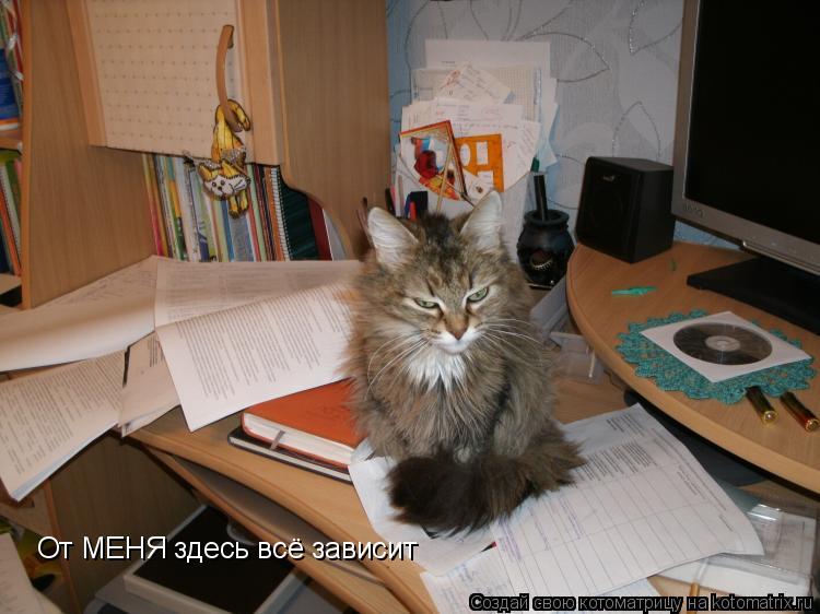 От МЕНЯ здесь всё зависит... Котоматрица: От МЕНЯ здесь всё зависит