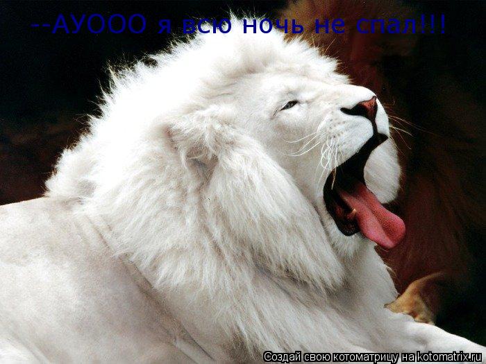 --АУООО я всю ночь не спал!!!... Котоматрица: --АУООО я всю ночь не спал!!!