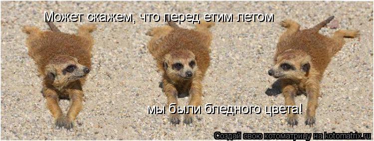 Может скажем, что перед етим летом мы были бледного цвета! Может скажем, что перед етим летом мы были... Котоматрица: Может скажем, что перед етим летом мы были бледного цвета! Может скажем, что перед етим летом мы были бледного цвета!
