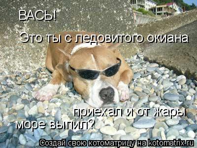 ВАСЬ! Это ты с ледовитого окиана приехал и от жары море выпил?... Котоматрица: ВАСЬ! Это ты с ледовитого окиана приехал и от жары море выпил?