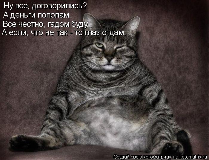 Ну все, договорились? А деньги пополам. Все честно, гадом буду. А если, что не так - то глаз отдам.... Котоматрица: Ну все, договорились? А деньги пополам. Все честно, гадом буду. А если, что не так - то глаз отдам.