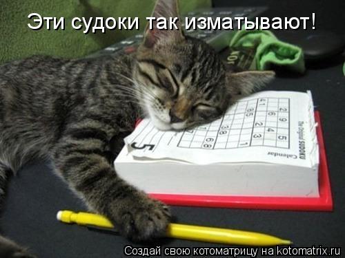Эти судоки так изматывают!... Котоматрица: Эти судоки так изматывают!