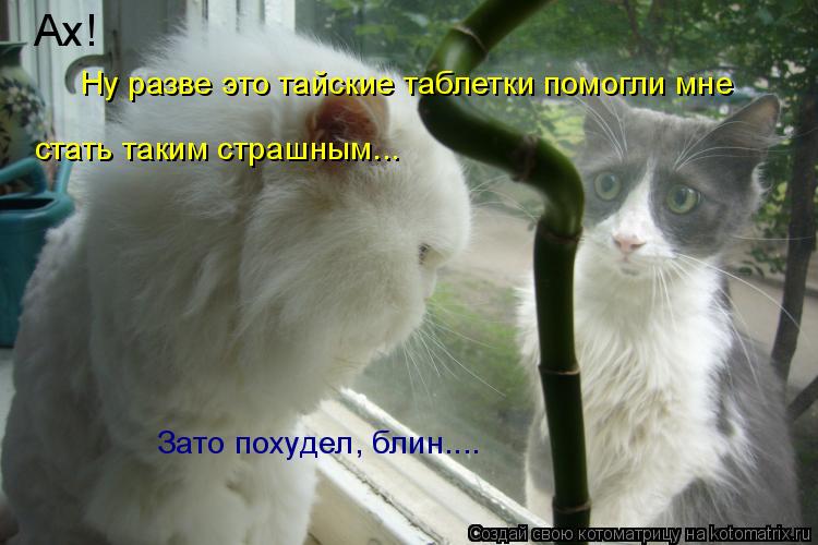 Ах! стать таким страшным... Ну разве это тайские таблетки помогли мне Зато похудел, блин....... Котоматрица: Ах! стать таким страшным... Ну разве это тайские таблетки помогли мне Зато похудел, блин....