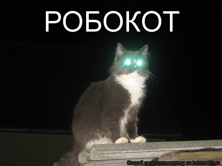 РОБОКОТ... Котоматрица: РОБОКОТ