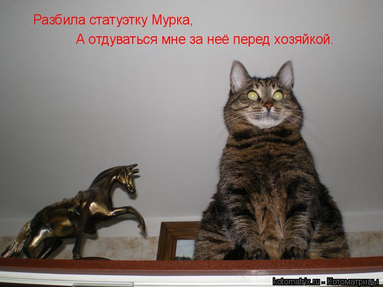 Разбила статуэтку Мурка, А отдуваться мне за неё перед хозяйкой.... Котоматрица: Разбила статуэтку Мурка, А отдуваться мне за неё перед хозяйкой.