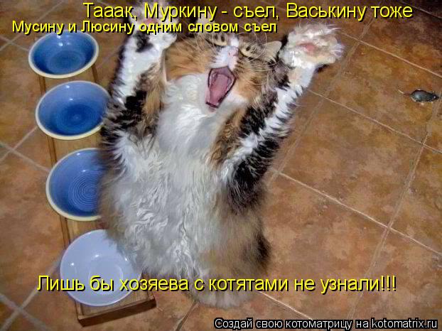 Тааак, Муркину - съел, Васькину тоже Мусину и Люсину одним словом съел Лишь бы хозяева с котятами не ... Котоматрица: Тааак, Муркину - съел, Васькину тоже Мусину и Люсину одним словом съел Лишь бы хозяева с котятами не узнали!!!