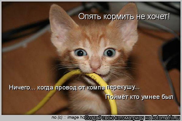 Опять кормить не хочет! Ничего... когда провод от компа перекушу... Поймёт кто умнее был... Котоматрица: Опять кормить не хочет! Ничего... когда провод от компа перекушу... Поймёт кто умнее был
