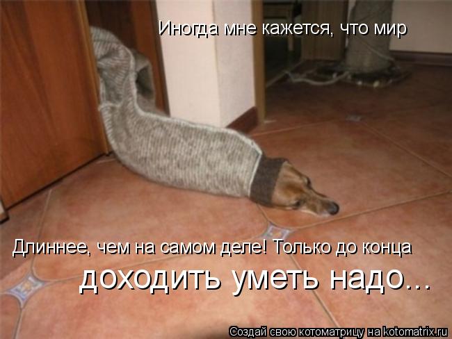 Иногда мне кажется, что мир Длиннее, чем на самом деле! Только до конца доходить уметь надо...... Котоматрица: Иногда мне кажется, что мир Длиннее, чем на самом деле! Только до конца доходить уметь надо...