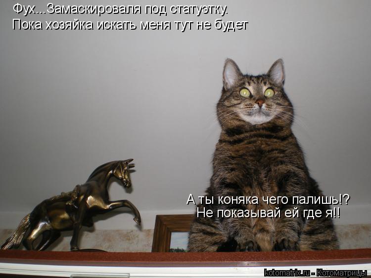Фух...Замаскироваля под статуэтку. Пока хозяйка искать меня тут не будет А ты коняка чего палишь!? Не... Котоматрица: Фух...Замаскироваля под статуэтку. Пока хозяйка искать меня тут не будет А ты коняка чего палишь!? Не показывай ей где я!!