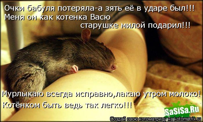 Очки бабуля потеряла-а зять её в ударе был!!! Меня он как котенка Васю старушке милой подарил!!! Мур... Котоматрица: Очки бабуля потеряла-а зять её в ударе был!!! Меня он как котенка Васю старушке милой подарил!!! Мурлыкаю всегда исправно,лакаю утром молоко!