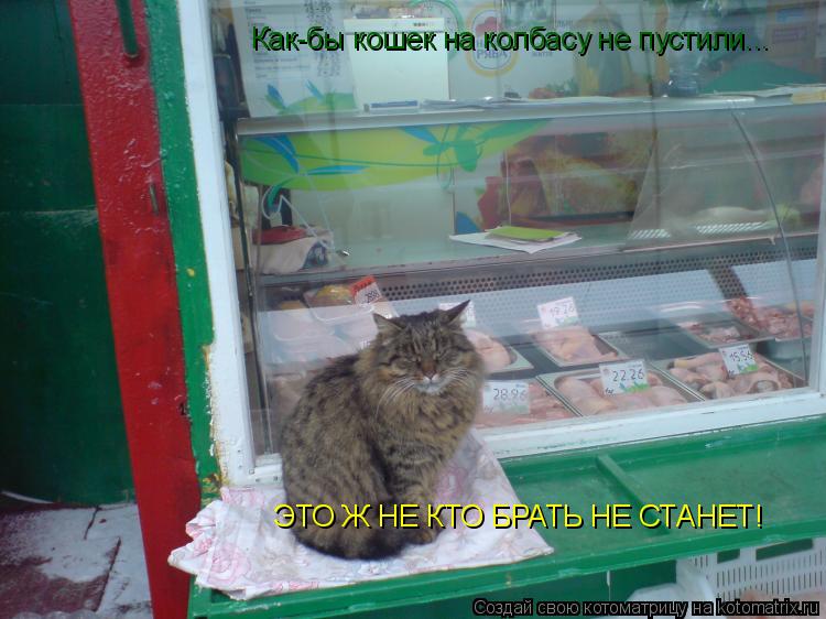 Как-бы кошек на колбасу не пустили... ЭТО Ж НЕ КТО БРАТЬ НЕ СТАНЕТ!... Котоматрица: Как-бы кошек на колбасу не пустили... ЭТО Ж НЕ КТО БРАТЬ НЕ СТАНЕТ!
