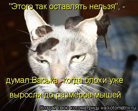 думал Васька, когда блохи уже "Этого так оставлять нельзя", - выросли до размеров мышей... Котоматрица: думал Васька, когда блохи уже "Этого так оставлять нельзя", - выросли до размеров мышей