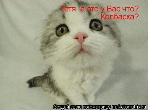 Тетя, а это у Вас что? Колбаска?... Котоматрица: Тетя, а это у Вас что? Колбаска?
