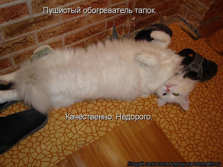 Пушистый обогреватель тапок. Качественно. Недорого.... Котоматрица: Пушистый обогреватель тапок. Качественно. Недорого.