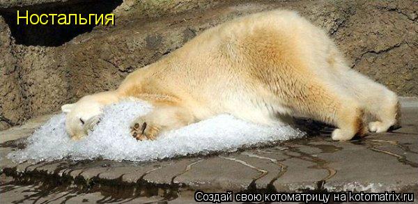 Ностальгия... Котоматрица: Ностальгия