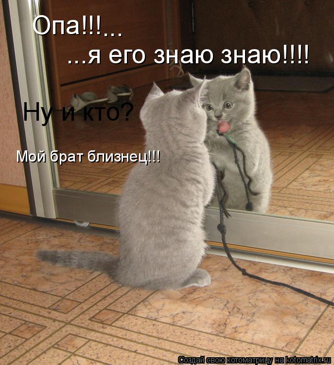 Опа!!! ... ...я его знаю знаю!!!! Ну и кто? Мой брат близнец!!!... Котоматрица: Опа!!! ... ...я его знаю знаю!!!! Ну и кто? Мой брат близнец!!!