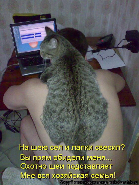 Котоматрица: На шею сел и лапки свесил? Охотно шеи подставляет Мне вся хозяйская семья! Вы прям обидели меня...