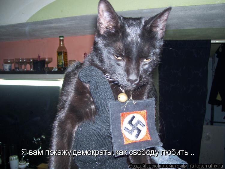 Я вам покажу,демократы,как свободу любить...... Котоматрица: Я вам покажу,демократы,как свободу любить...