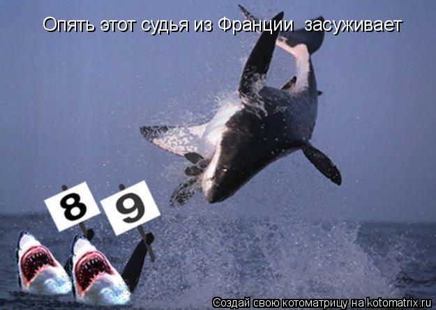 Опять этот судья из Франции засуживает... Котоматрица: Опять этот судья из Франции засуживает