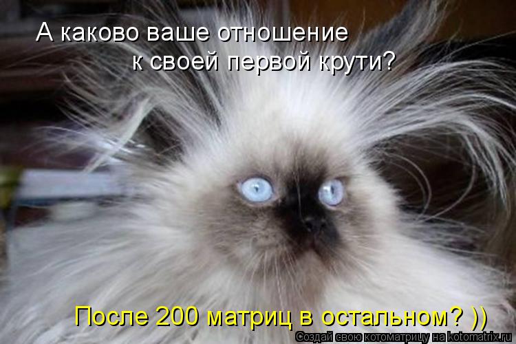 А каково ваше отношение к своей первой крути? После 200 матриц в остальном? ))... Котоматрица: А каково ваше отношение к своей первой крути? После 200 матриц в остальном? ))