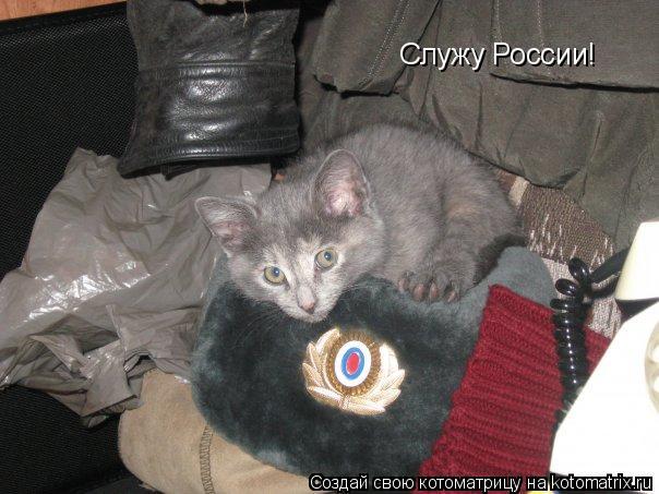 Служу России!... Котоматрица: Служу России!