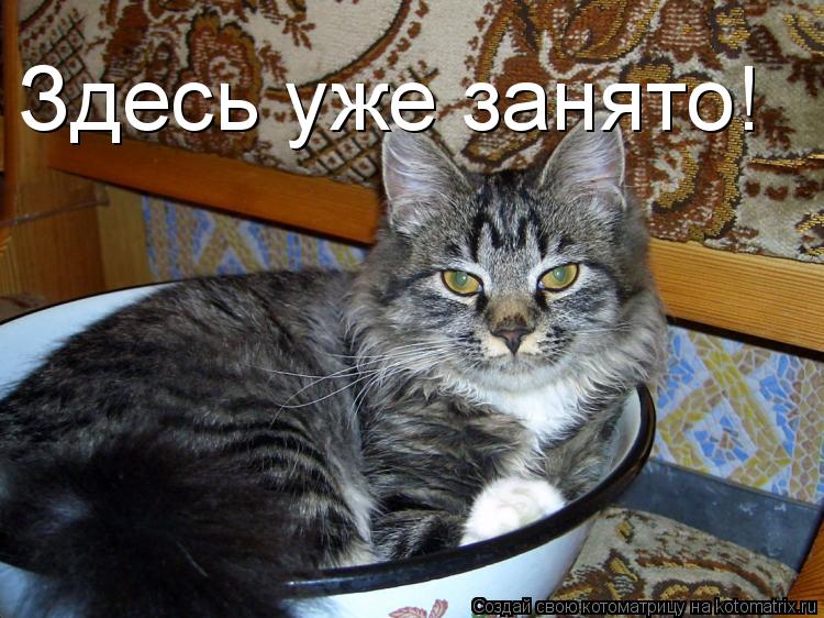 Здесь уже занято!... Котоматрица: Здесь уже занято!