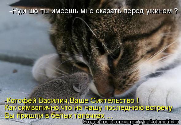 -Ну,и шо ты имеешь мне сказать перед ужином ? -Котофей Василич,Ваше Cиятельство ! Как символично,что ... Котоматрица: -Ну,и шо ты имеешь мне сказать перед ужином ? -Котофей Василич,Ваше Cиятельство ! Как символично,что на нашу последнюю встречу Вы пришли в бел
