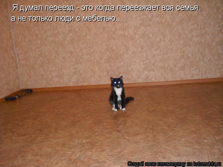 Я думал переезд - это когда переезжает вся семья, а не только люди с мебелью...... Котоматрица: Я думал переезд - это когда переезжает вся семья, а не только люди с мебелью...