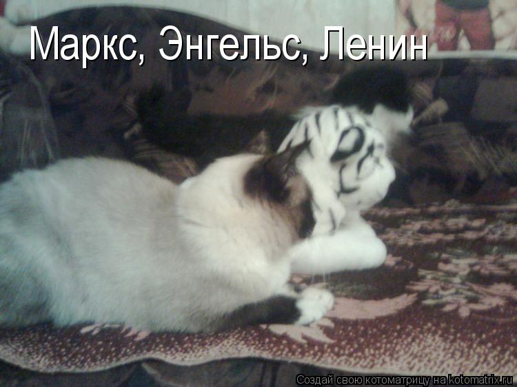 Маркс, Энгельс, Ленин... Котоматрица: Маркс, Энгельс, Ленин