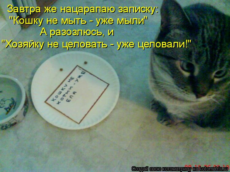 Завтра же нацарапаю записку: "Кошку не мыть - уже мыли" А разозлюсь, и "Хозяйку не целовать - уже цел... Котоматрица: Завтра же нацарапаю записку: "Кошку не мыть - уже мыли" А разозлюсь, и "Хозяйку не целовать - уже целовали!"