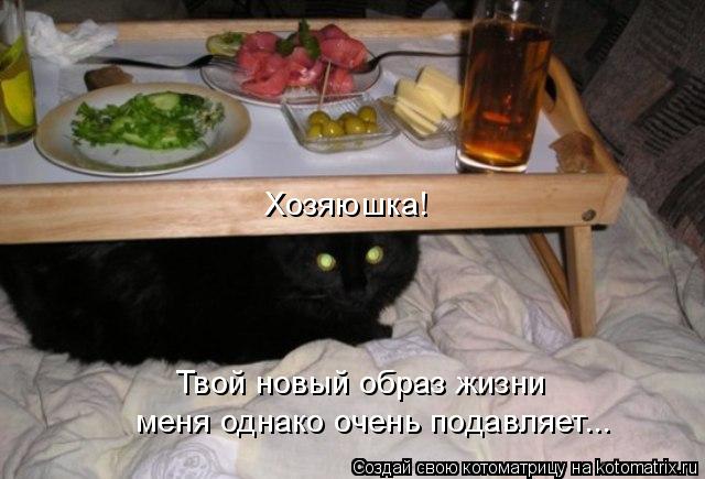 Хозяюшка! Твой новый образ жизни меня однако очень подавляет...... Котоматрица: Хозяюшка! Твой новый образ жизни меня однако очень подавляет...