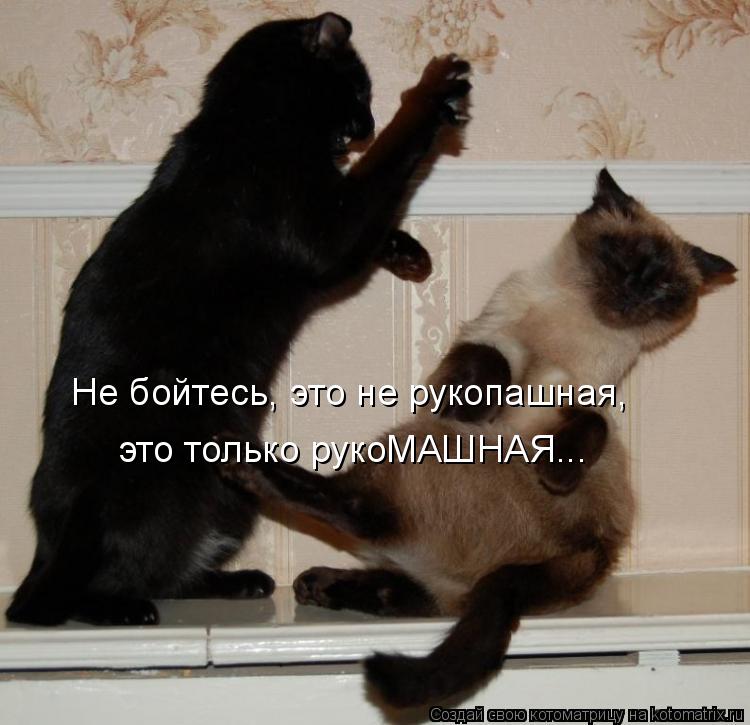 Не бойтесь, это не рукопашная, это только рукоМАШНАЯ...... Котоматрица: Не бойтесь, это не рукопашная, это только рукоМАШНАЯ...
