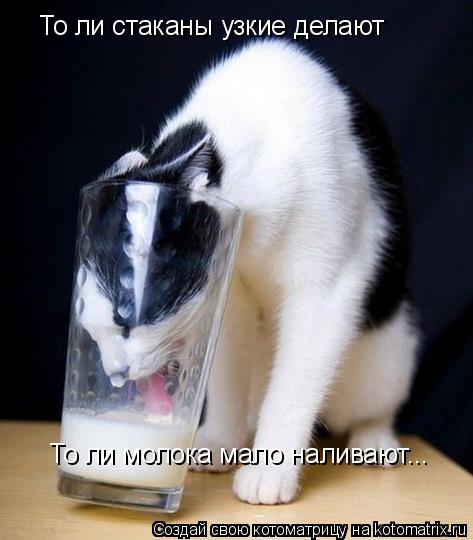 То ли стаканы узкие делают То ли молока мало наливают...... Котоматрица: То ли стаканы узкие делают То ли молока мало наливают...