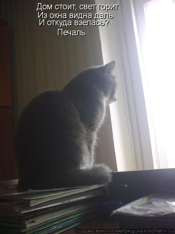 Дом стоит, свет горит Из окна видна даль И откуда взелась? Печаль... Котоматрица: Дом стоит, свет горит Из окна видна даль И откуда взелась? Печаль