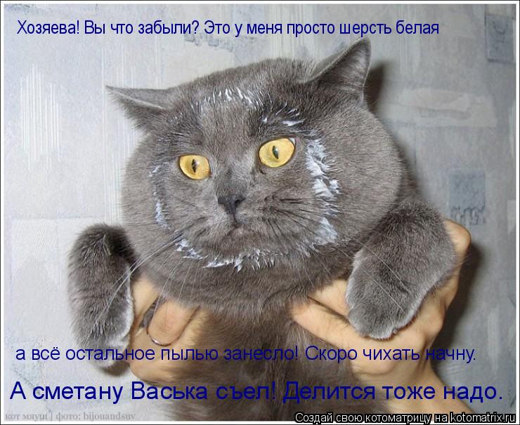 Хозяева! Вы что забыли? Это у меня просто шерсть белая а всё остальное пылью занесло! Скоро чихать на... Котоматрица: Хозяева! Вы что забыли? Это у меня просто шерсть белая а всё остальное пылью занесло! Скоро чихать начну. А сметану Васька съел! Делится тоже