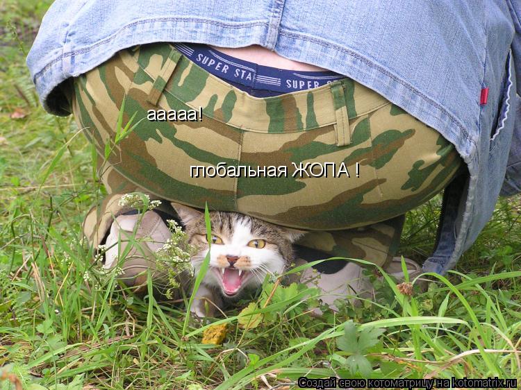 ааааа! глобальная ЖОПА !... Котоматрица: ааааа! глобальная ЖОПА !