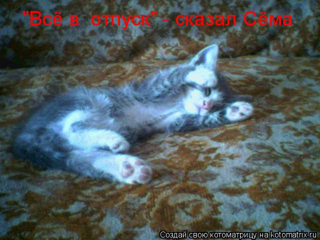 "Всё в отпуск" - сказал Сёма... Котоматрица: "Всё в отпуск" - сказал Сёма